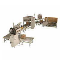Automatic Bottle Can PET Bottle Linear Carton Box Case Packing
