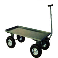 Platform Carts