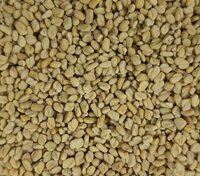 Yellow Organic Fenugreek Seeds