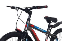 24 CARSON IBC REGID V BRAKE (TYRE 24X2.35)