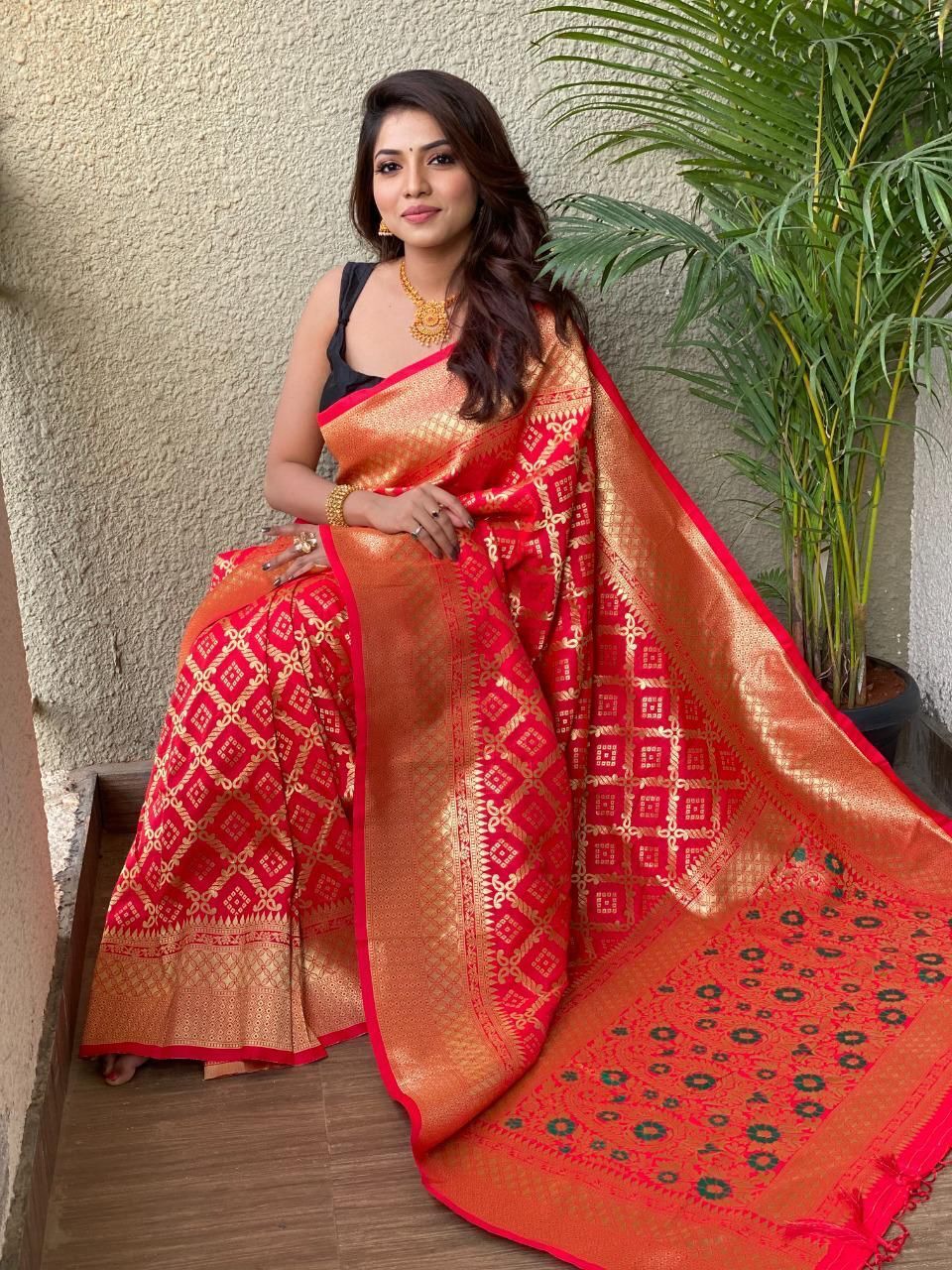 Festival Look Zari Saree