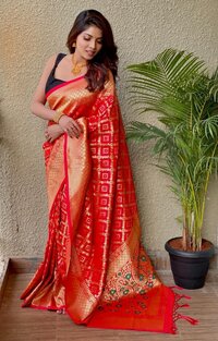 Festival Look Zari Saree