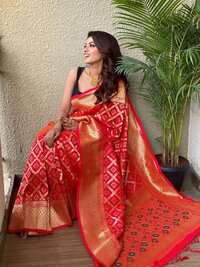 Festival Look Zari Saree