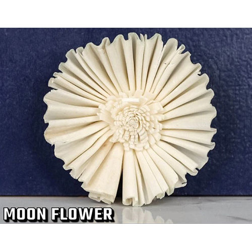 Moon Flower Sola Flower