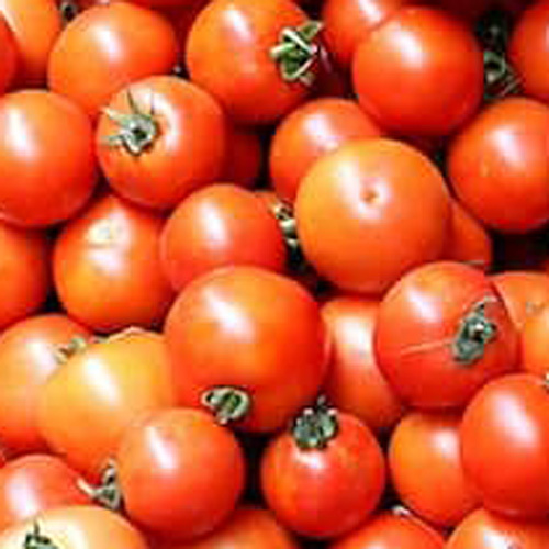 Fresh Tomato