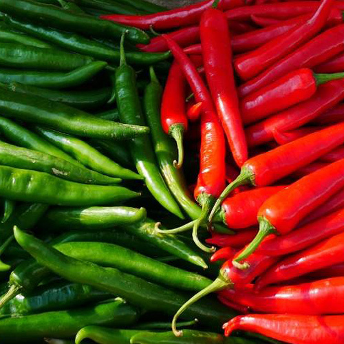 Green And Red Chilli