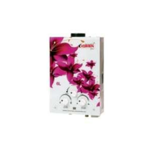 Gas Water Heater