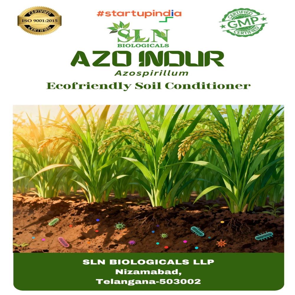 Azospirullum Biofertilizer - Application: Agroculture