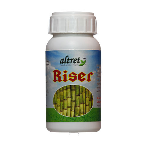 Altret Riser