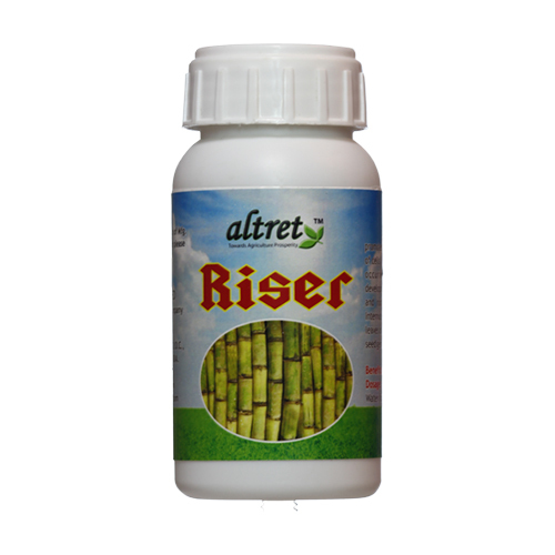 Altret Riser