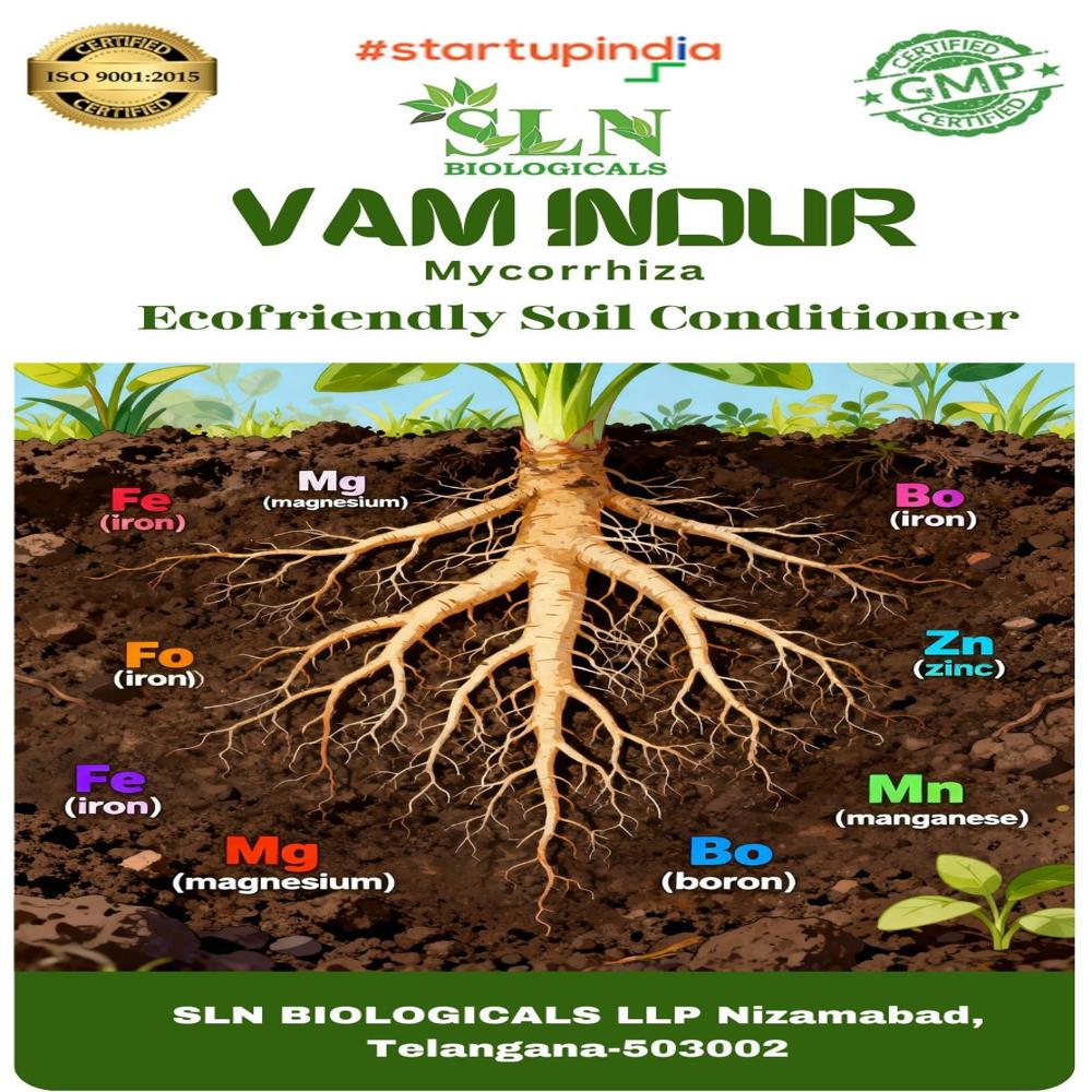 Vam Biofertilizer - Application: Agriculture
