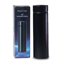 Black Temperature Water Bottle