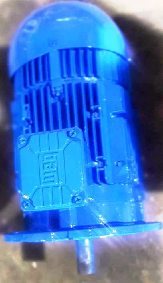 INDUCTION MOTORS WEG GERMANY'S