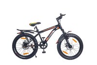 20x300 IMPLUSE IBC F/S D/DISC