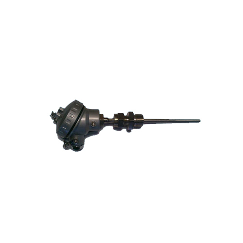 RTD with SS Tube