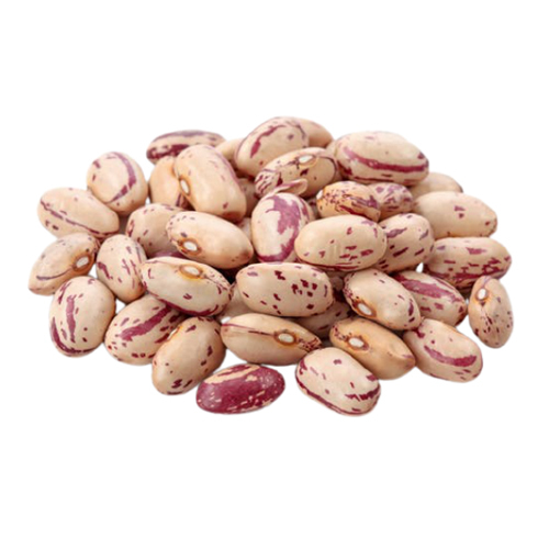 Pinto Beans