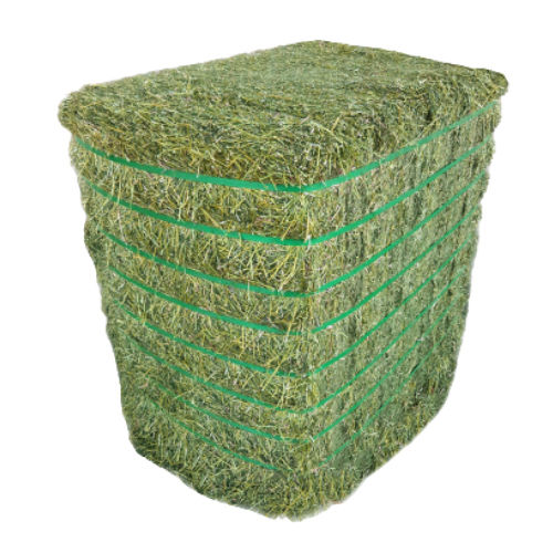 Green Alfalfa Hay