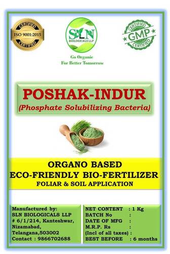 Phosphate Solubilzing Bacteria - Application: Agriculture