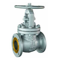 Globe Valve