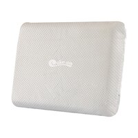 Plush Pillow