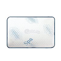 SPA Pillow