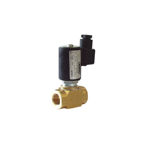 Black-Golden Pilot Solenoid Gas Valve