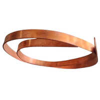 Copper Earthing Strip - Customized Size, Brown Color | High Durability, Anti-corrosion, Ip54 Protection, Warranty Included