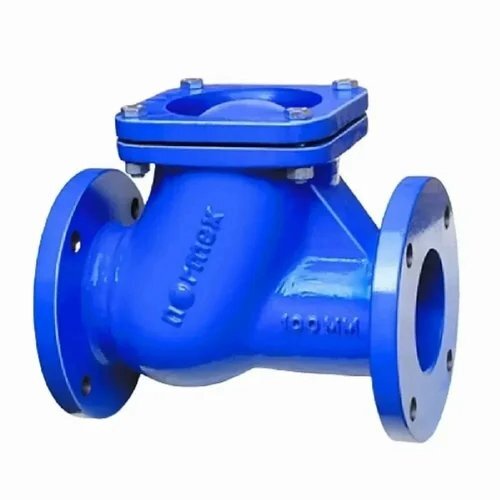 Cast Iron Ball Type Non- Return Valve Normex Make - Application: Fluid Flow Control