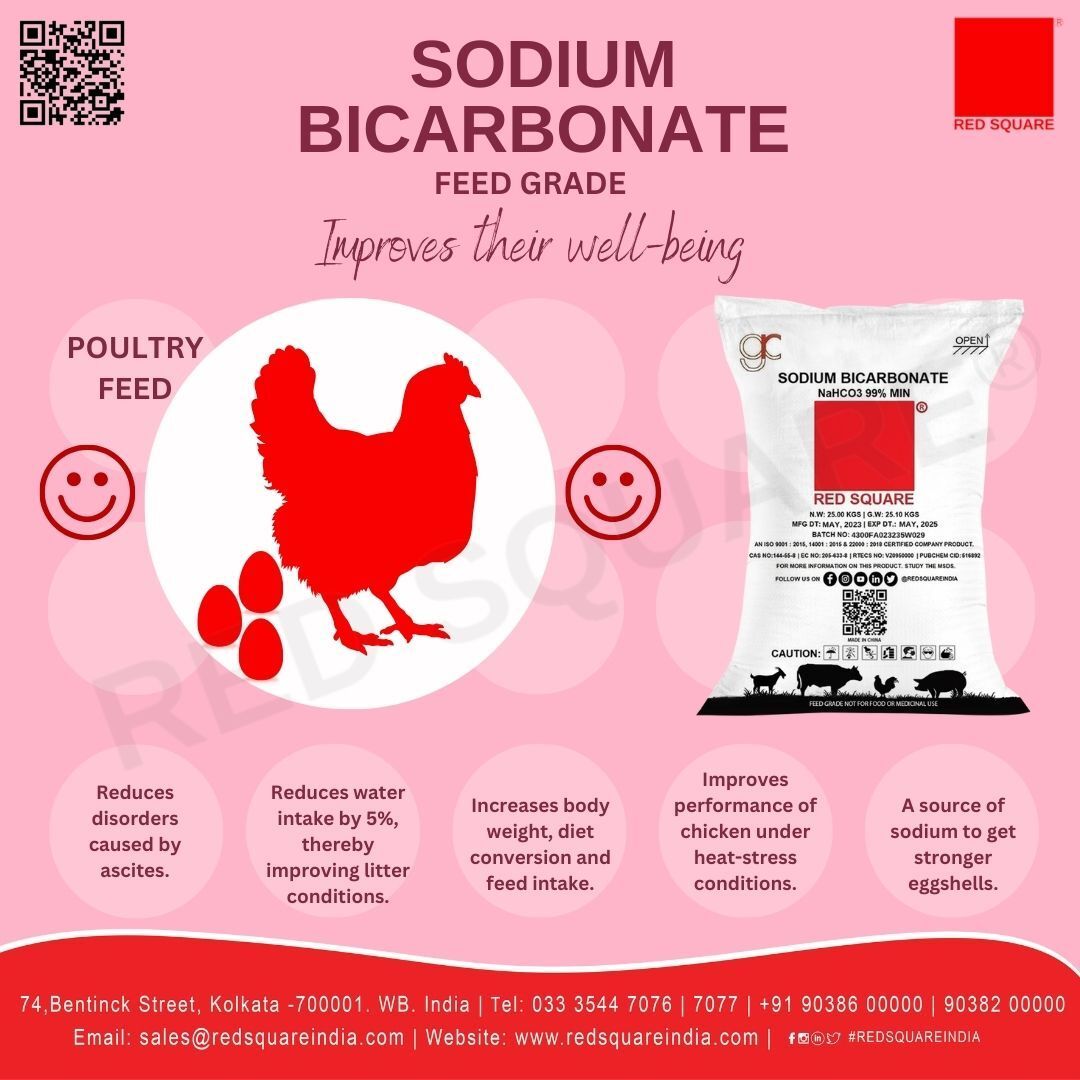 Sodium Bicarbonate - Feed Grade - RED SQUARE