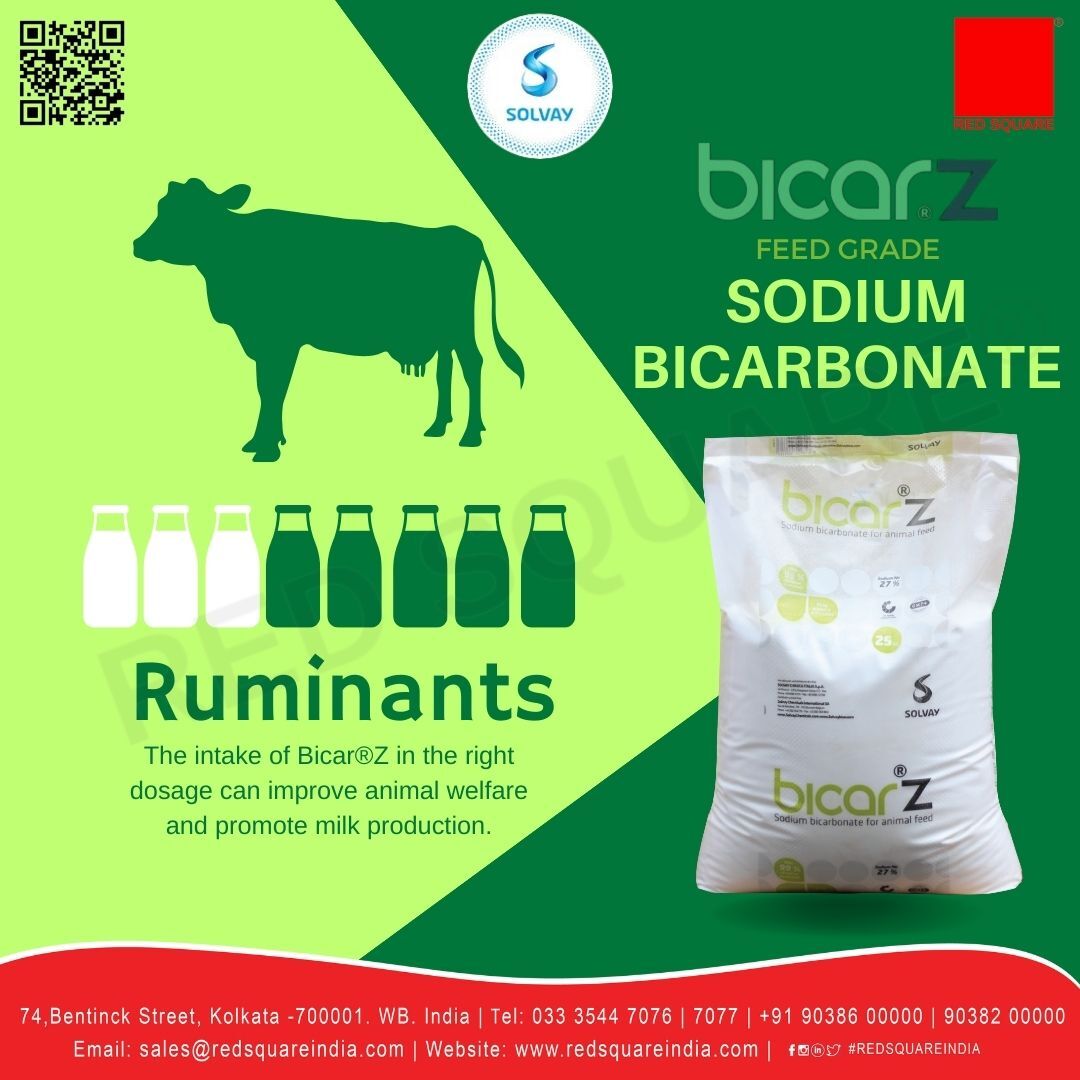 Sodium Bicarbonate - Feed Grade - Solvay