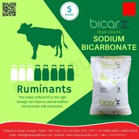 Sodium Bicarbonate - Feed Grade - Solvay