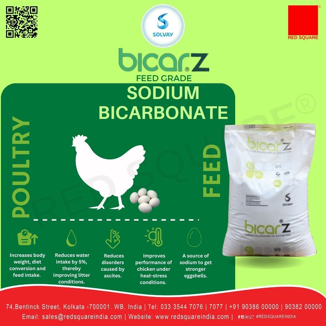 Sodium Bicarbonate - Feed Grade - Solvay
