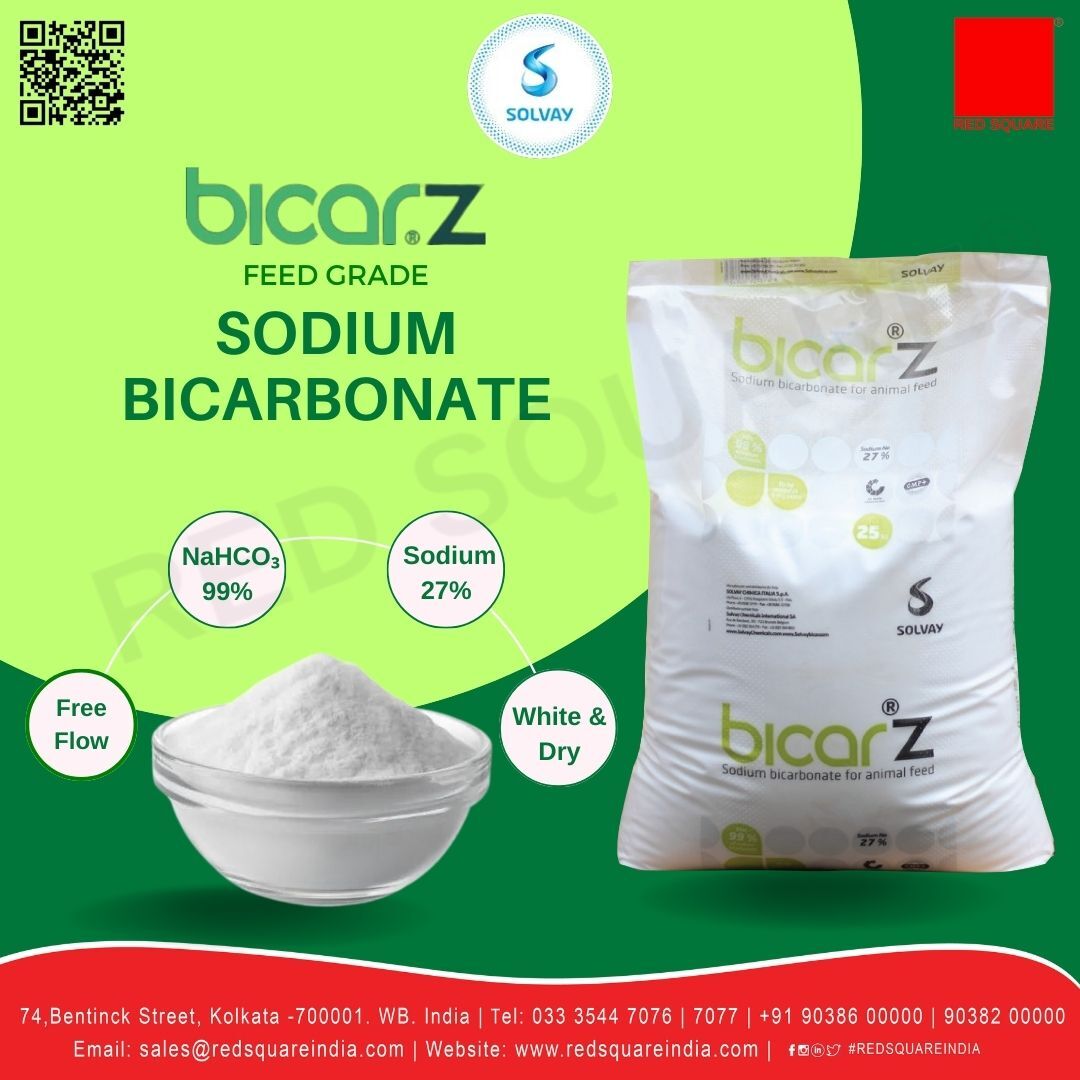Sodium Bicarbonate - Feed Grade - Solvay
