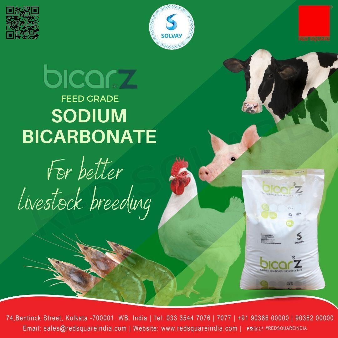 Sodium Bicarbonate - Feed Grade - Solvay