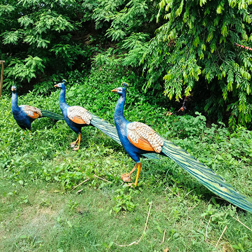 FRP Peacock Statue
