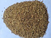 Cumin Seeds (Crushing Quality)