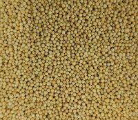 Bold Yellow Mustard Seeds