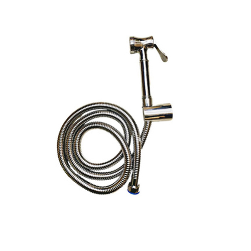 Silver Dmgn 5405 Health Faucet Set