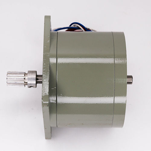 10 kg Synchronous Motor