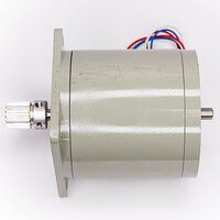 20kg motor