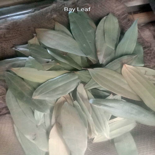 Pure Bay Leaf
