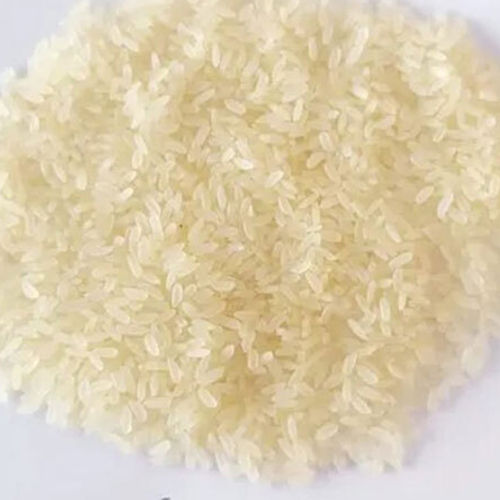 Common Rice 4094