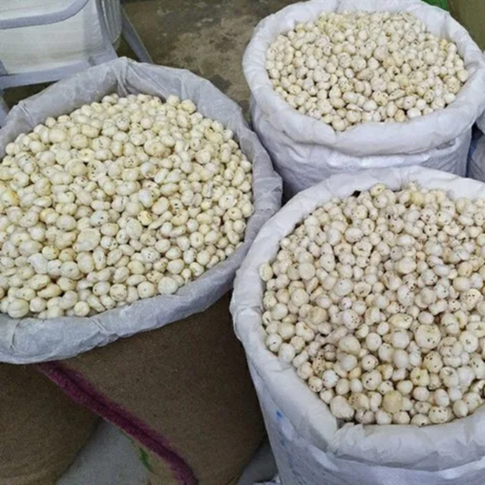 15 mm Organic Makhana