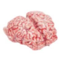 Red Murrah Buffalo Buffalo Brain Meat