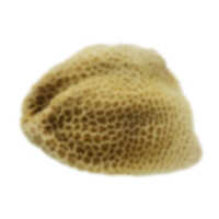 Red Murrah Buffalo Tripe Meat