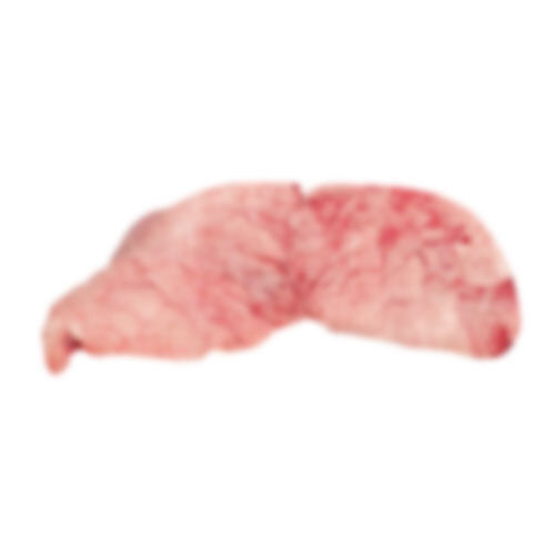 Murrah Buffalo Lungs Meat