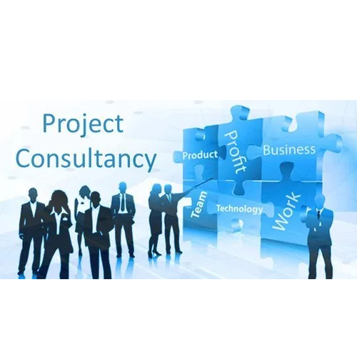 Project Consultancy सेवाएं