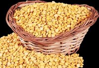 Chana Dal - Whole Split Chickpeas, Refined and Unrefined Processing Types | 12 Months Shelf Life, Available in Bulk, Packing, Tank Pack Options