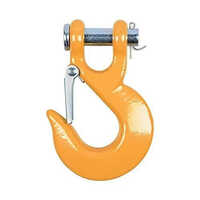 Clevis Hook