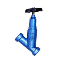 Weld In Line Globe Valve